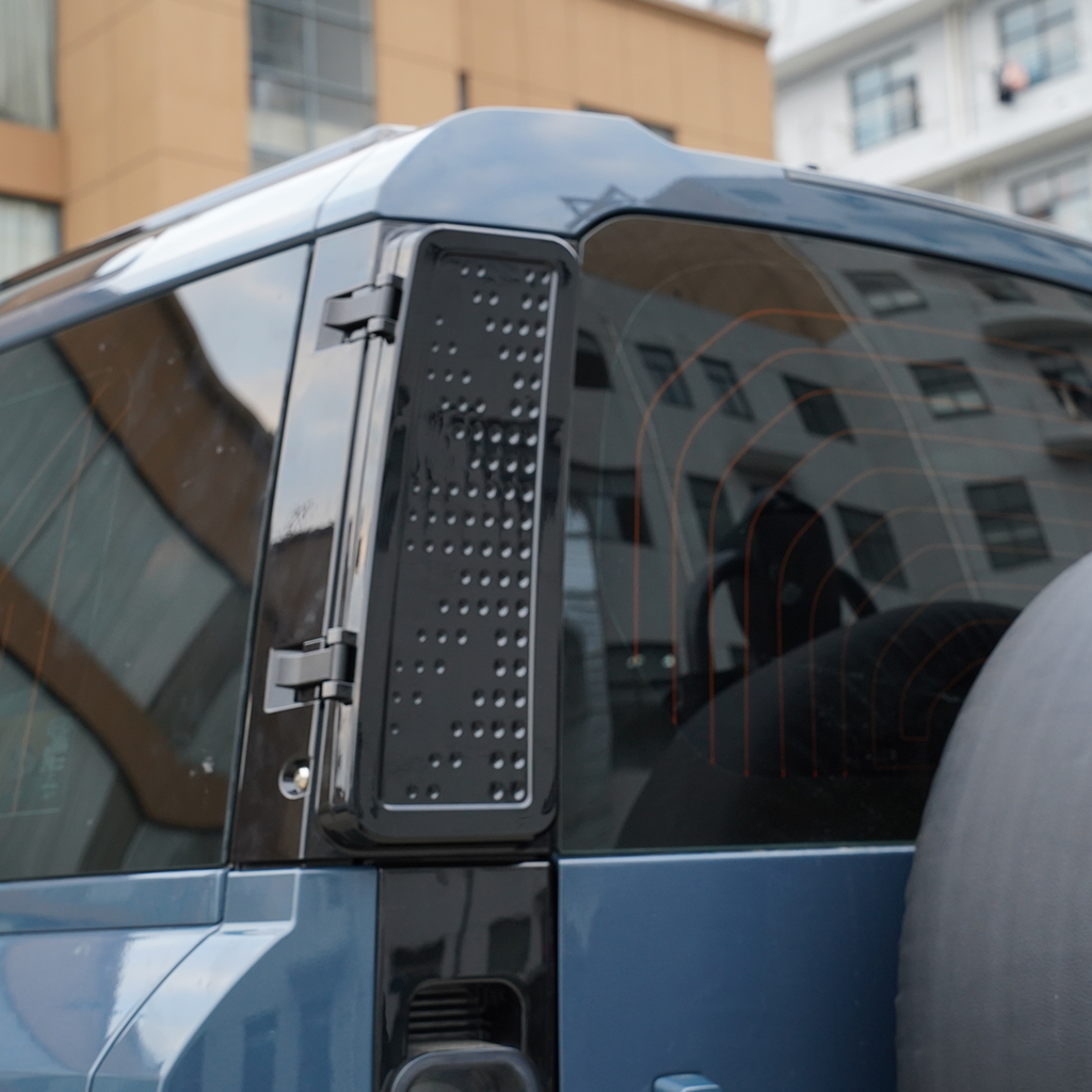 Rear D-Pillar Storage Box  ¨C Carbon Fibre / Gloss Black